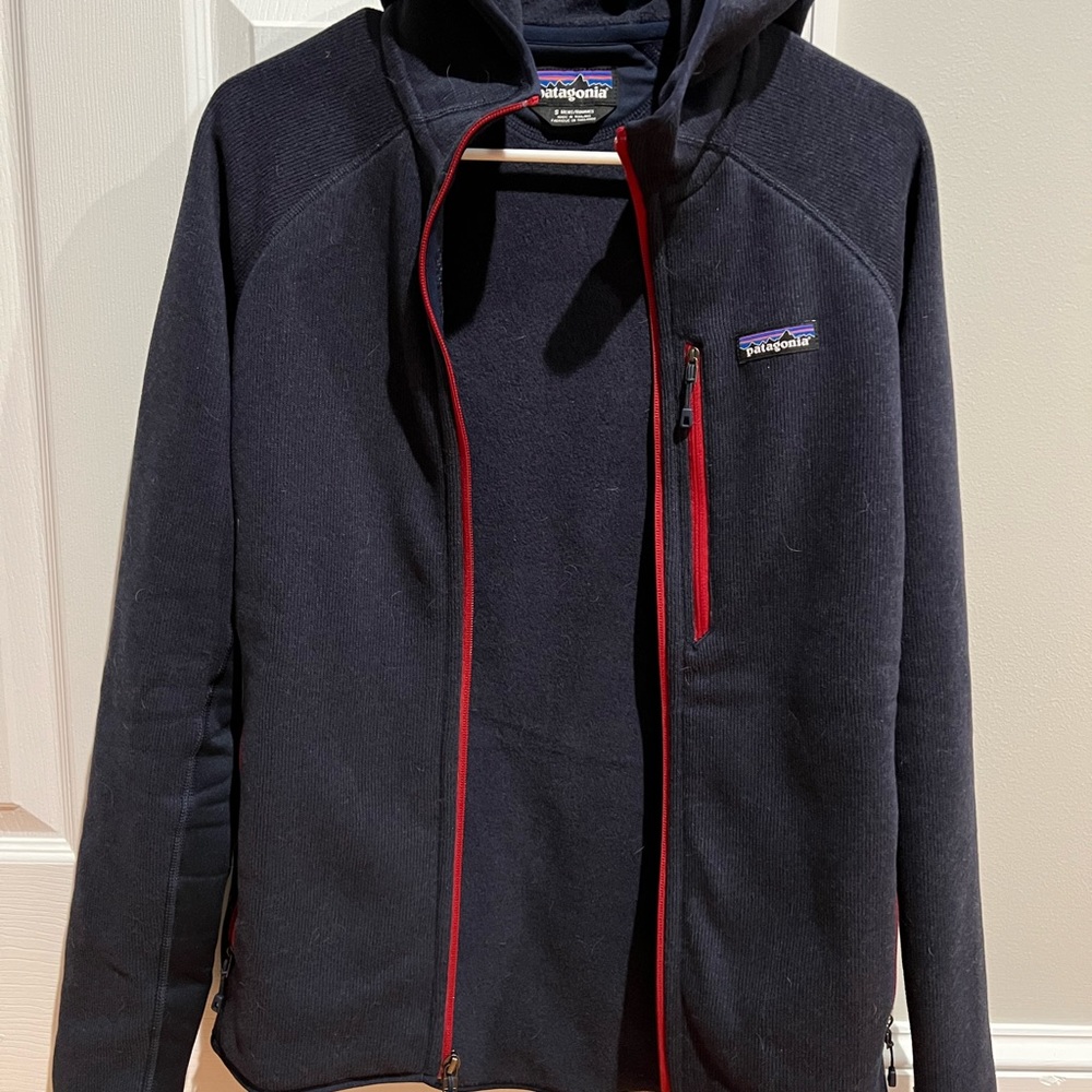 Hooded Patagonia better sweater